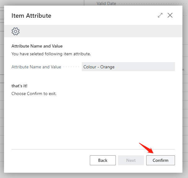 Promotion Item Attribute Name and Value