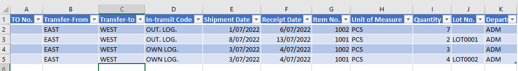 Transfer Order Excel File